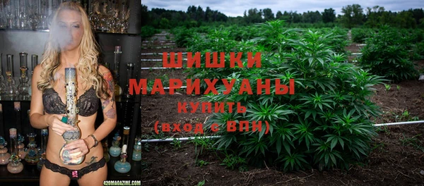 гидропоника Абаза