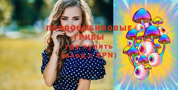 гидропоника Абаза