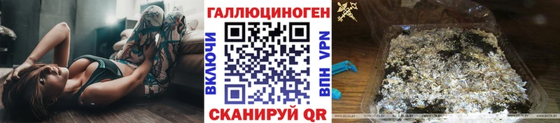 купить наркоту  Касли  Псилоцибиновые грибы прущие грибы 